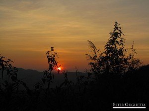 Atardecer en la selva