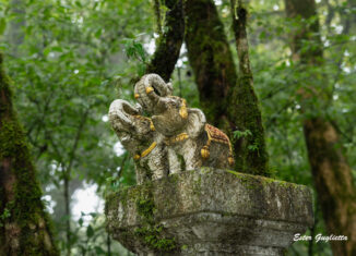 Tailandia, Chiang Mai