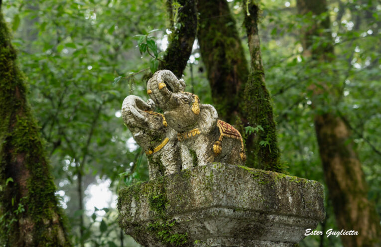 Tailandia, Chiang Mai